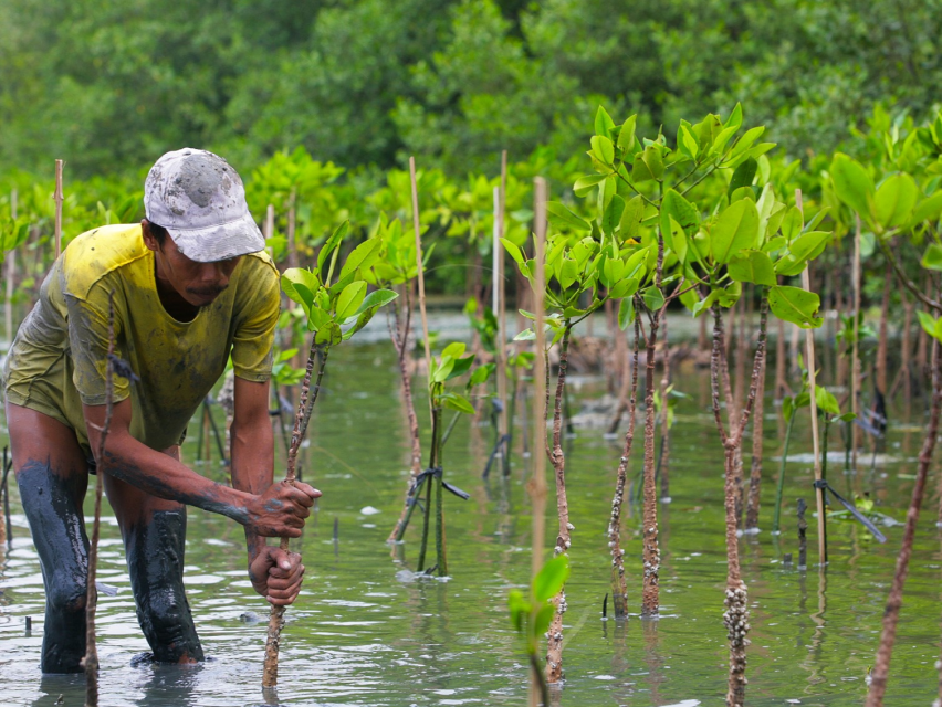 Advancing Science for a Sustainable World